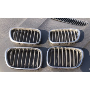 Ноздри до рест Е53